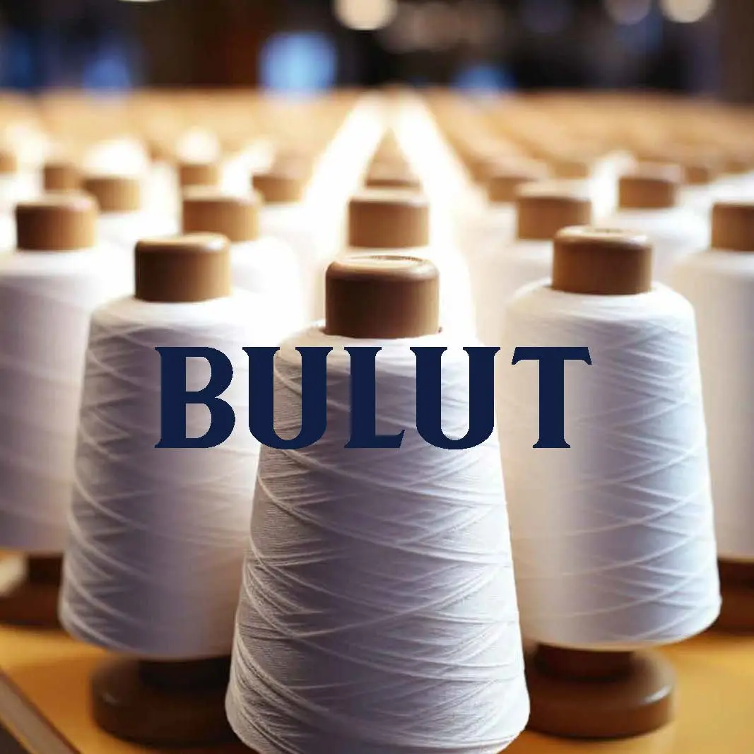 Bulut Group <br/><br/>