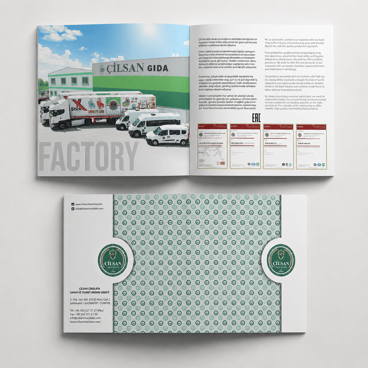 Katalog ve Logo Tasarımı